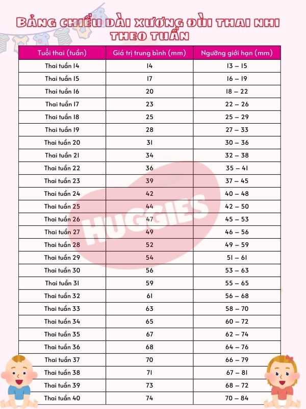 chiều dài xuong dui thai nhi theo tuần