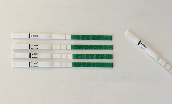 Cách sử dụng que thử rụng trứng sinh con trai như thế nào