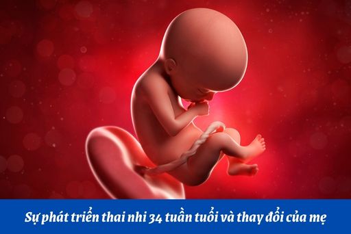 Những thay đổi thai nhi tuần thứ 34