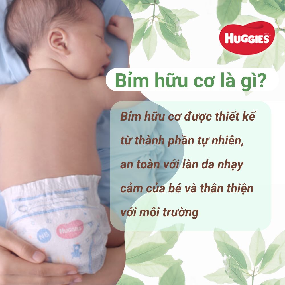  bỉm hữu cơ hay còn gọi là tã bỉm Organic - tã bỉm tự nhiên