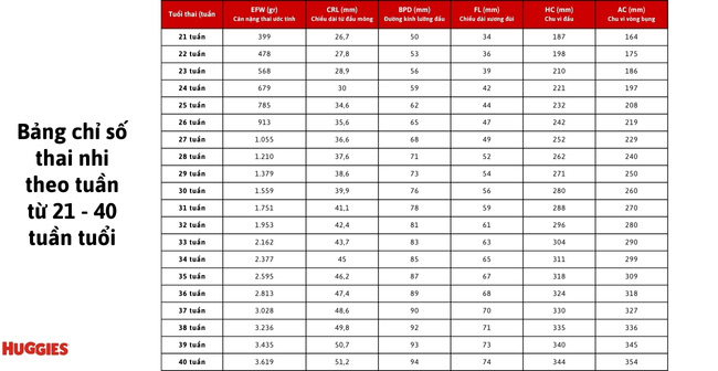 Bảng chỉ số siêu âm thai nhi theo tuần 21 - 40 theo WHO