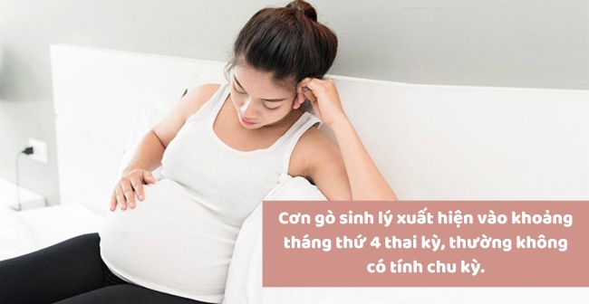 Cơn gò sinh lý (chuyển dạ giả)