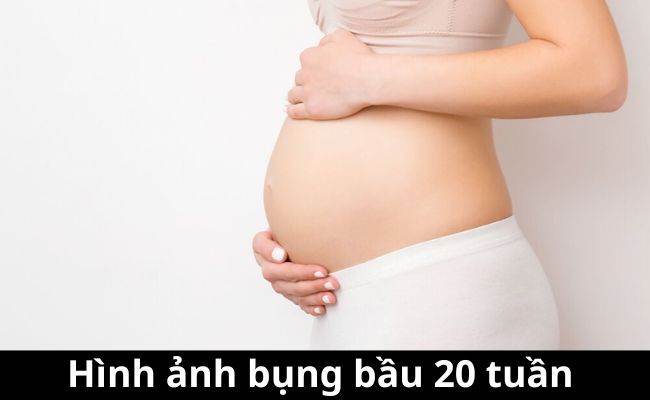 Hình ảnh bụng bầu 20 tuần (Nguồn: Sưu tầm)