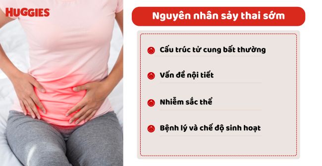 Nguyên nhân sảy thai sớm tự nhiên do đâu?