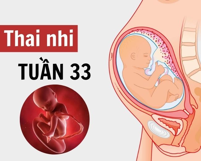 Những thay đổi thai nhi tuần thứ 33